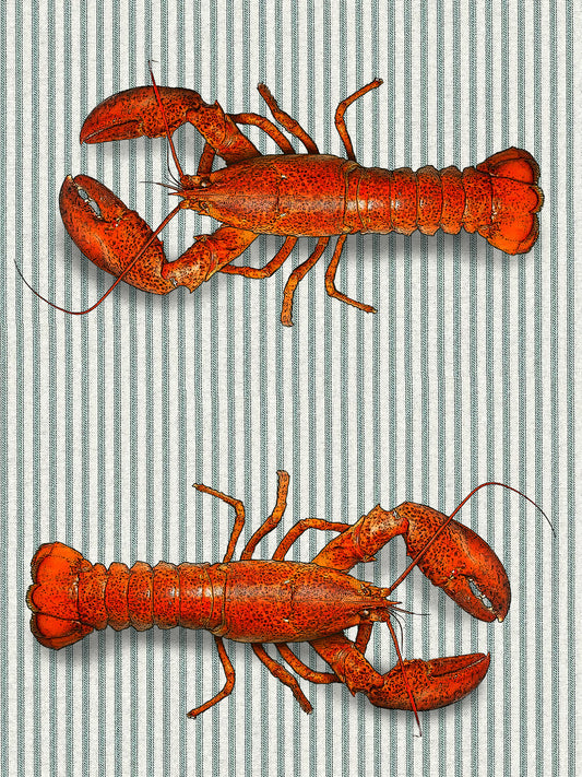 lobster (ticking stripe) 100% cotton flour sack kitchen towel 18 x 24 inches