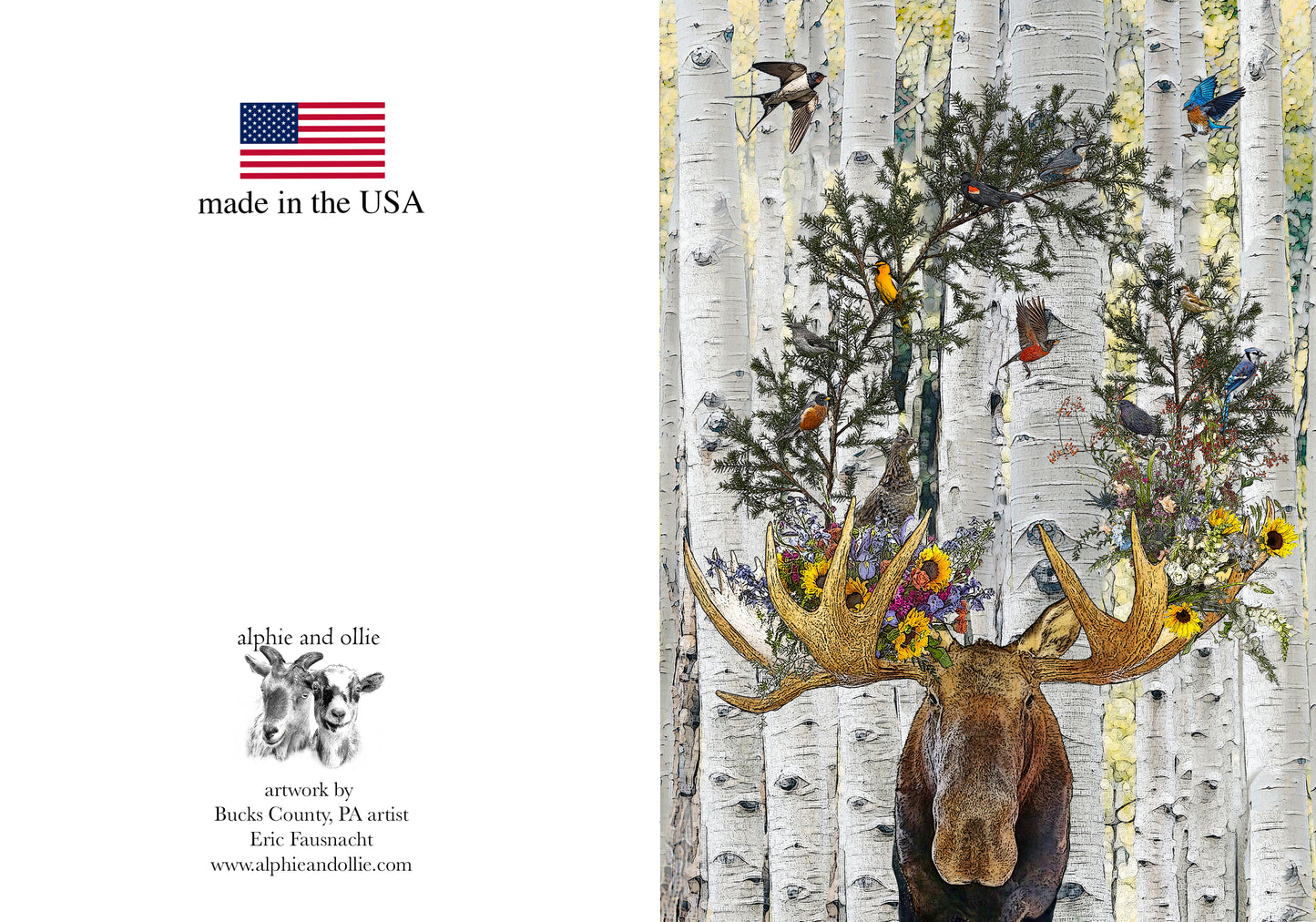moose greeting card 5 x 7" made in the USA