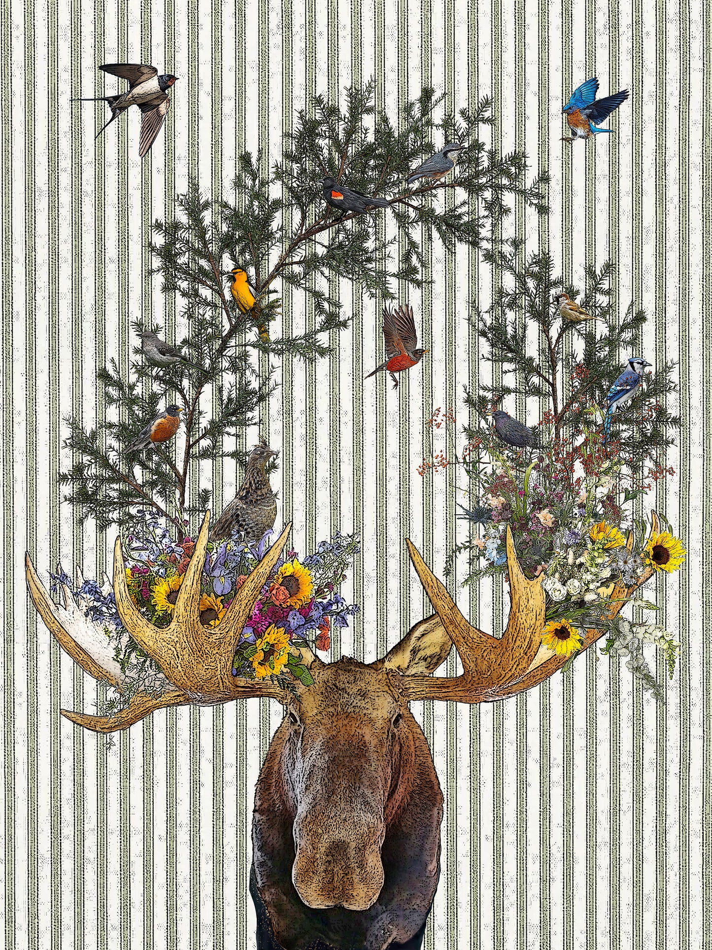 moose (ticking stripe) 100% cotton flour sack kitchen towel 18 x 24 inches