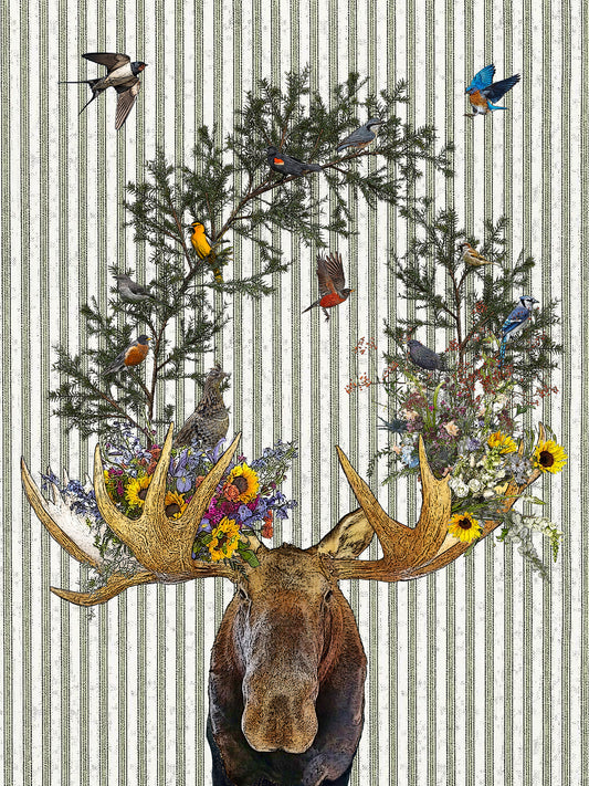 moose (ticking stripe) 100% cotton flour sack kitchen towel 18 x 24 inches