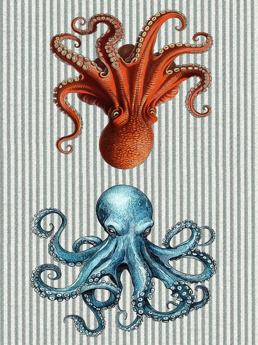 Octopus 100% cotton flour sack kitchen towel