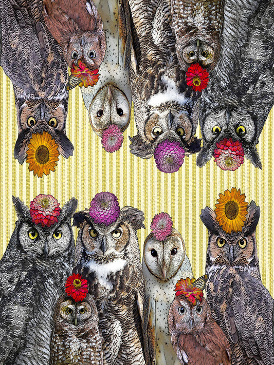 owls with flowers (ticking stripe) kitchen towel 100% cotton flour sack 18 x 24 inches