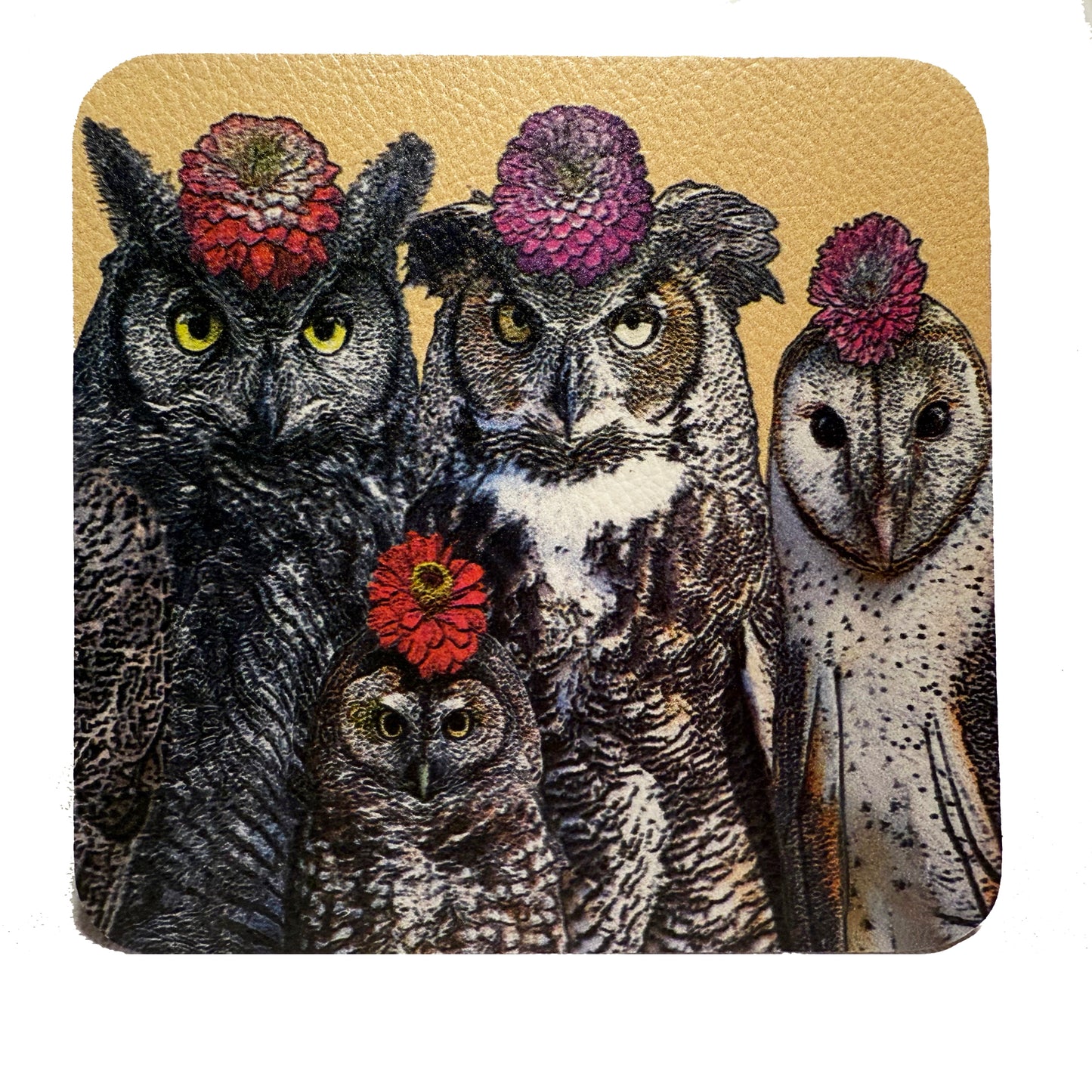 owls with flowers vinyl coaster set of 4