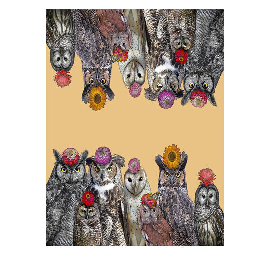 Owls with flowers flour sack kitchen towel 18 x 24 inches
