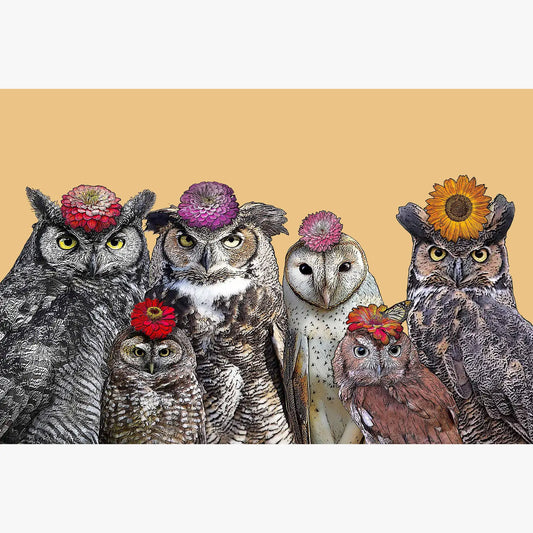 owls with flowers vinyl anti-microbial placemat