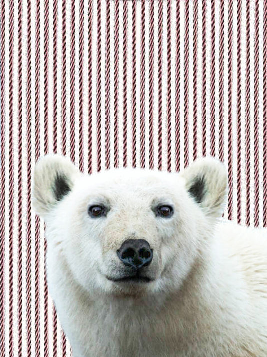 polar bear (ticking stripe) 100% cotton flour sack kitchen towel 18 x 24 inches