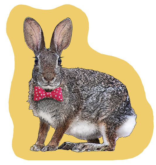 bunny with bowtie placemat