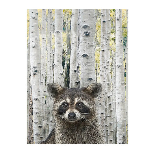 raccoon 100% cotton flour sack kitchen towel 18 x 24"