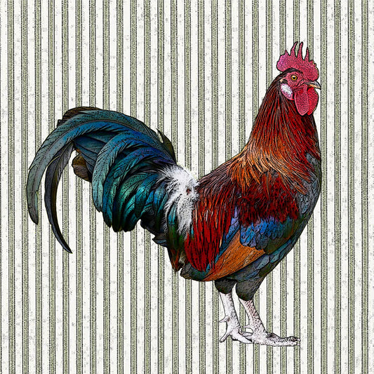 rooster paper cardboard set of 4 coasters