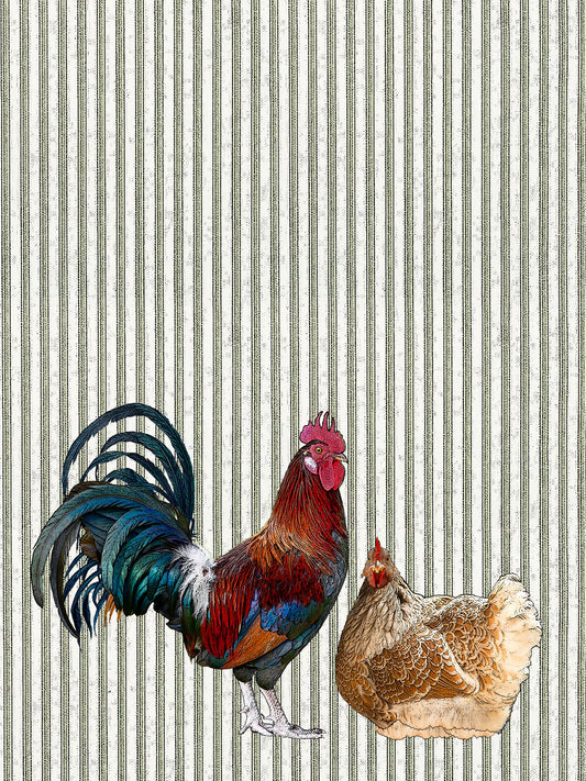 chickens (ticking stripe) 100% cotton flour sack kitchen towel 18 x 24 inches