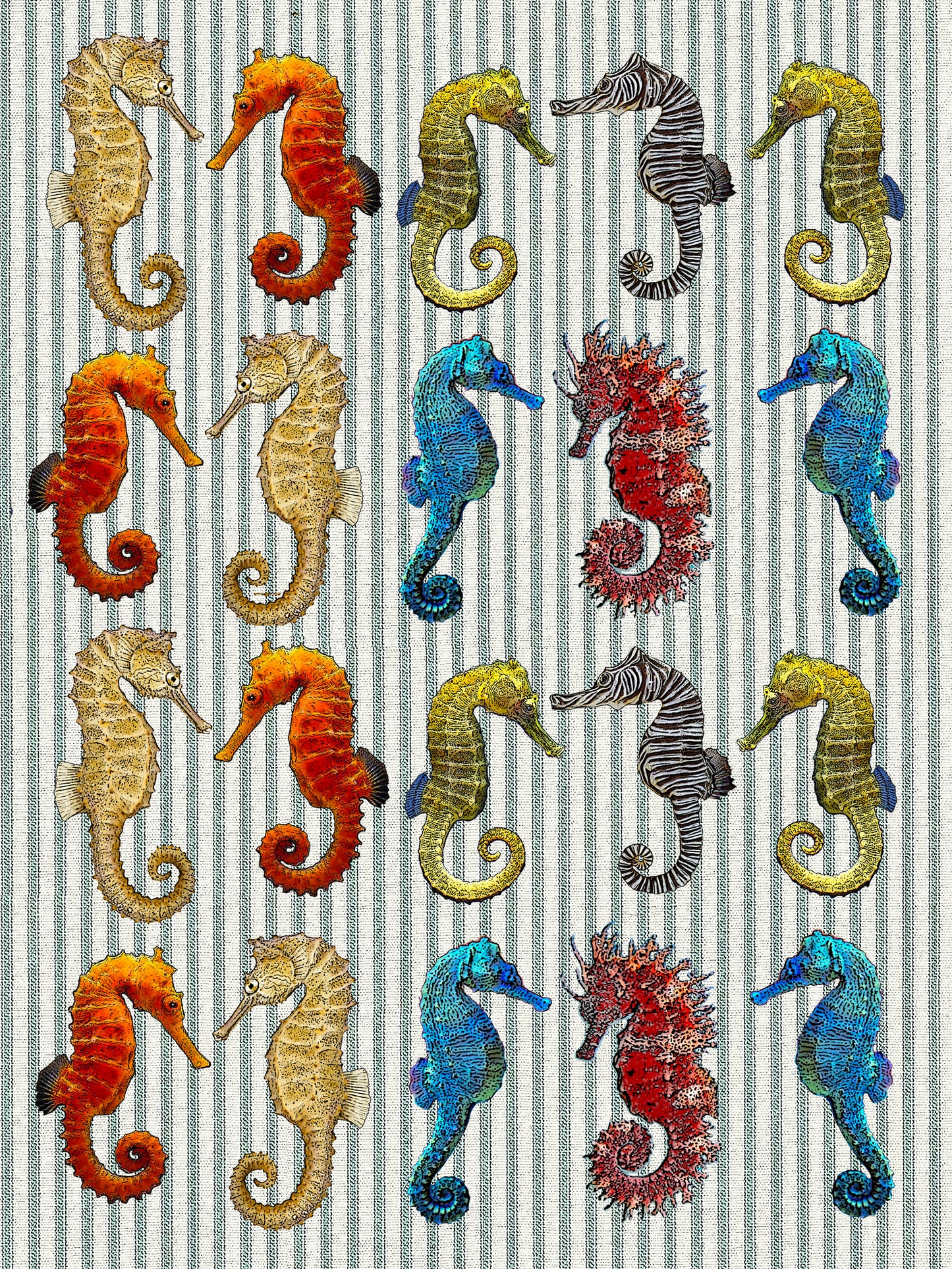 Sea horse ticking stripe kitchen towel