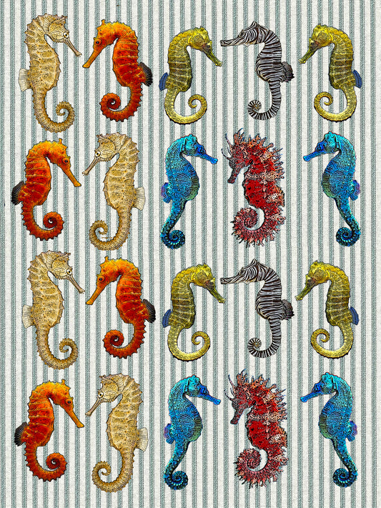 Sea horse ticking stripe kitchen towel