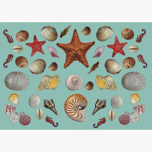sea shells vinyl placemat 12 x 17 inches