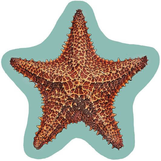 starfish cutout vinyl placemat