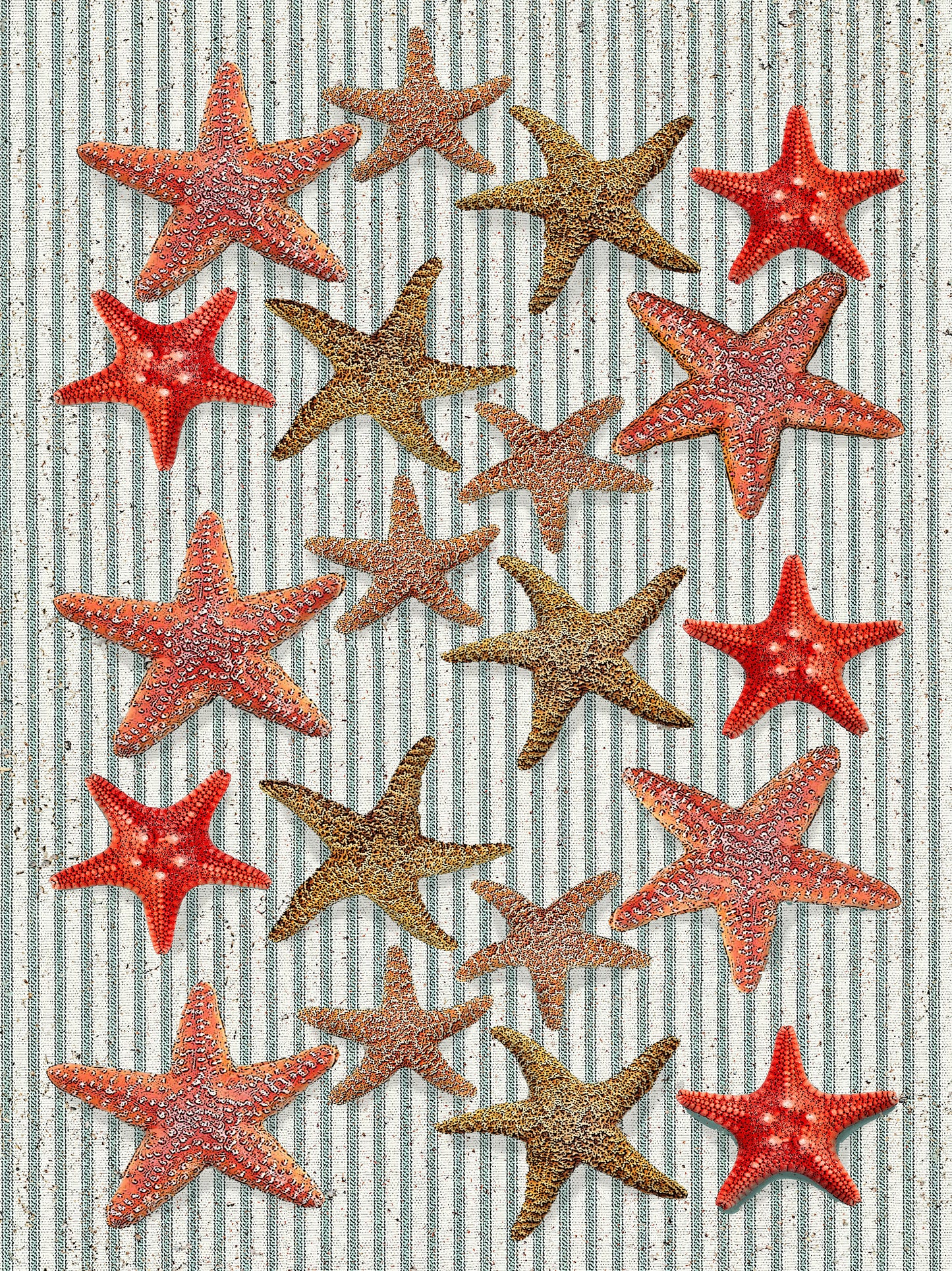 starfish (ticking stripe) 100% cotton flour sack kitchen towel 18 x 24 inches