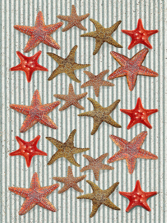 starfish (ticking stripe) 100% cotton flour sack kitchen towel 18 x 24 inches
