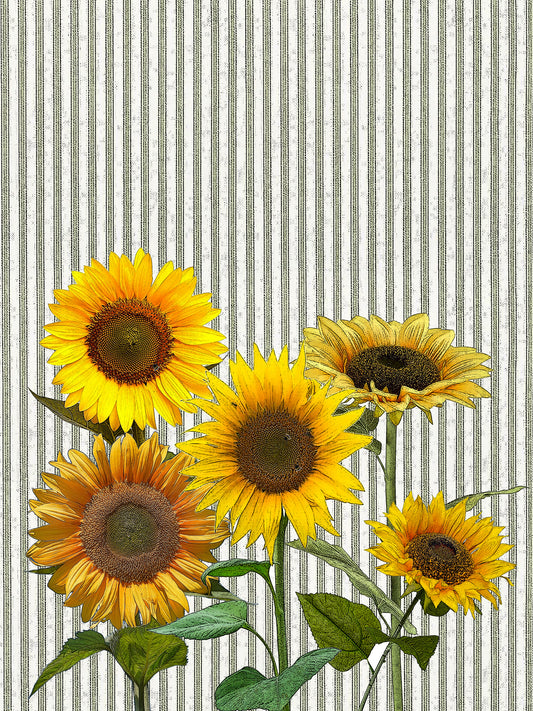 sunflower (ticking stripe) 100% cotton flour sack kitchen towel 18 x 24 inches