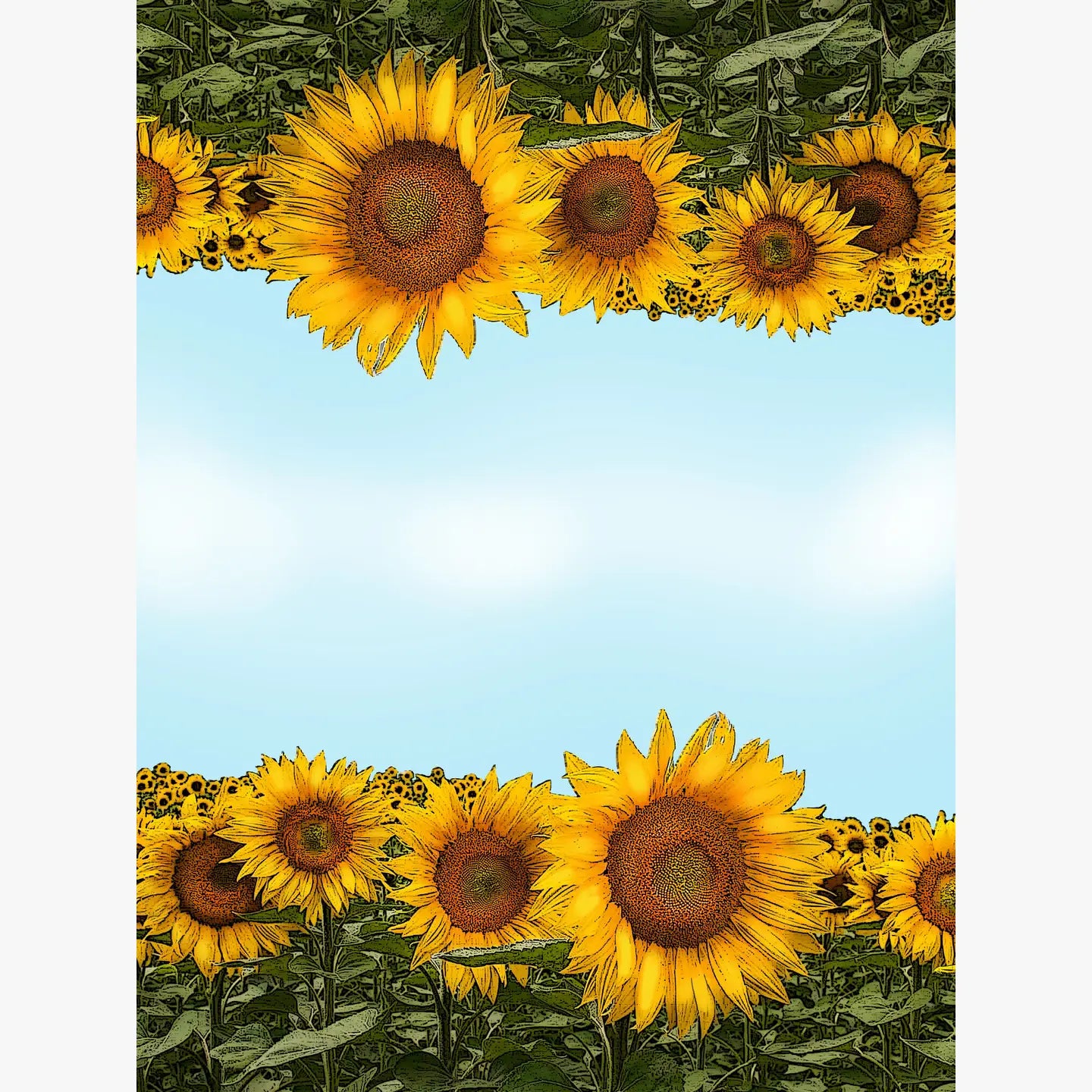 sunflower kitchen towel 18 x 24 inches flour sack material