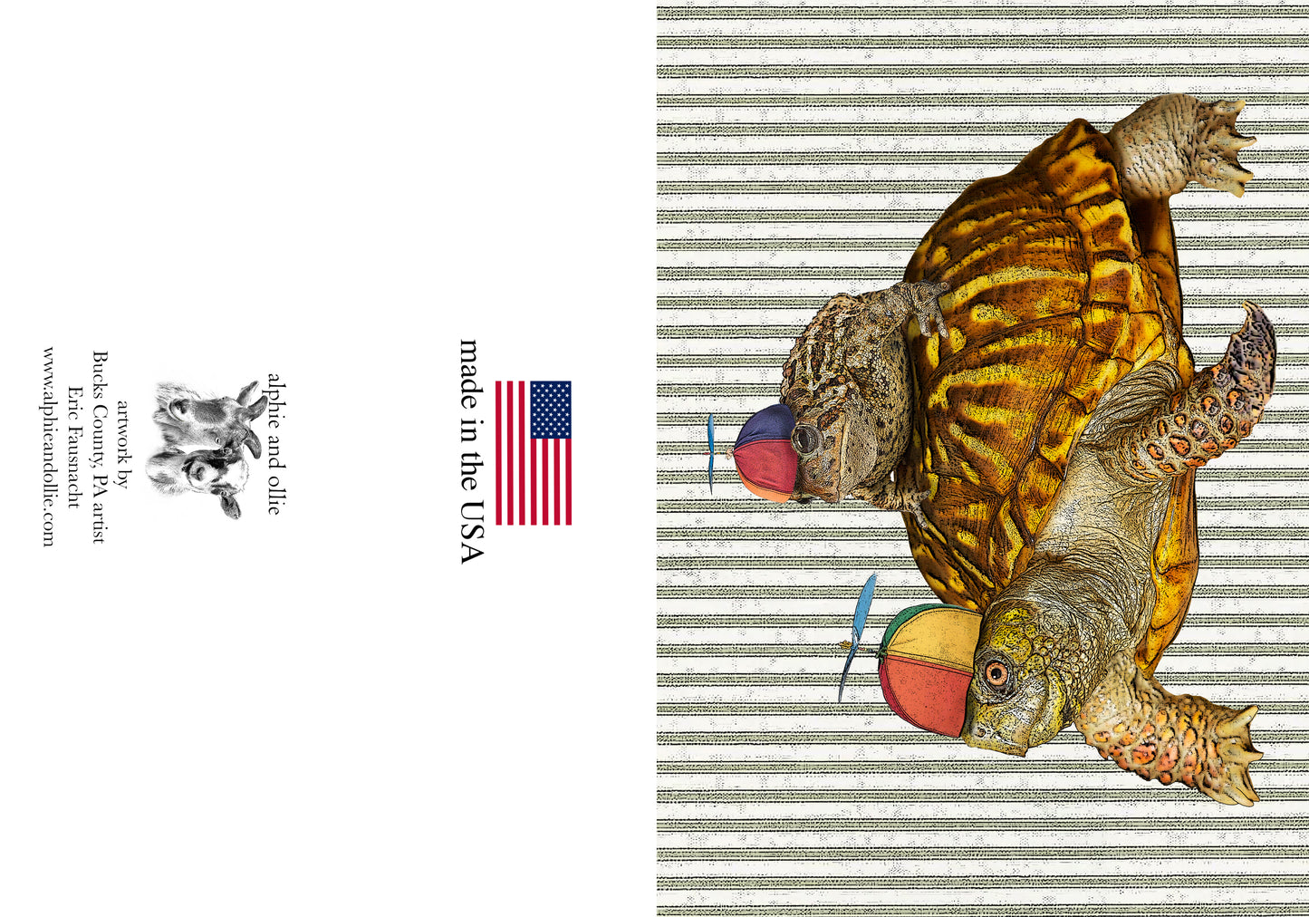 frog and turtle greeting card 5 x 7" made in USA