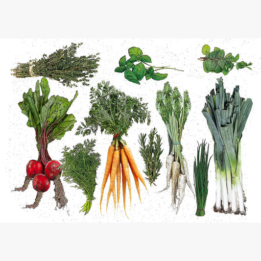 vegetables and herbs vinyl placemat 12 x 17 inches