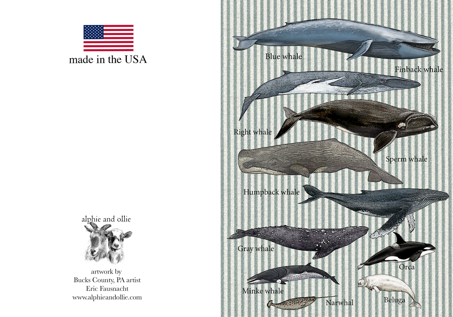 whales greeting card 5 x 7" made in USA