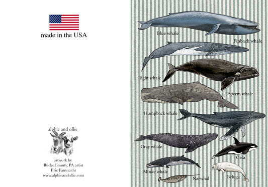whales greeting card 5 x 7" made in USA