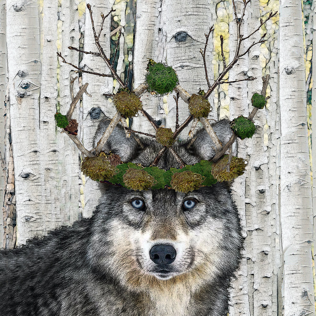 wolf with crown cardboard paper coaster with rounded corners
