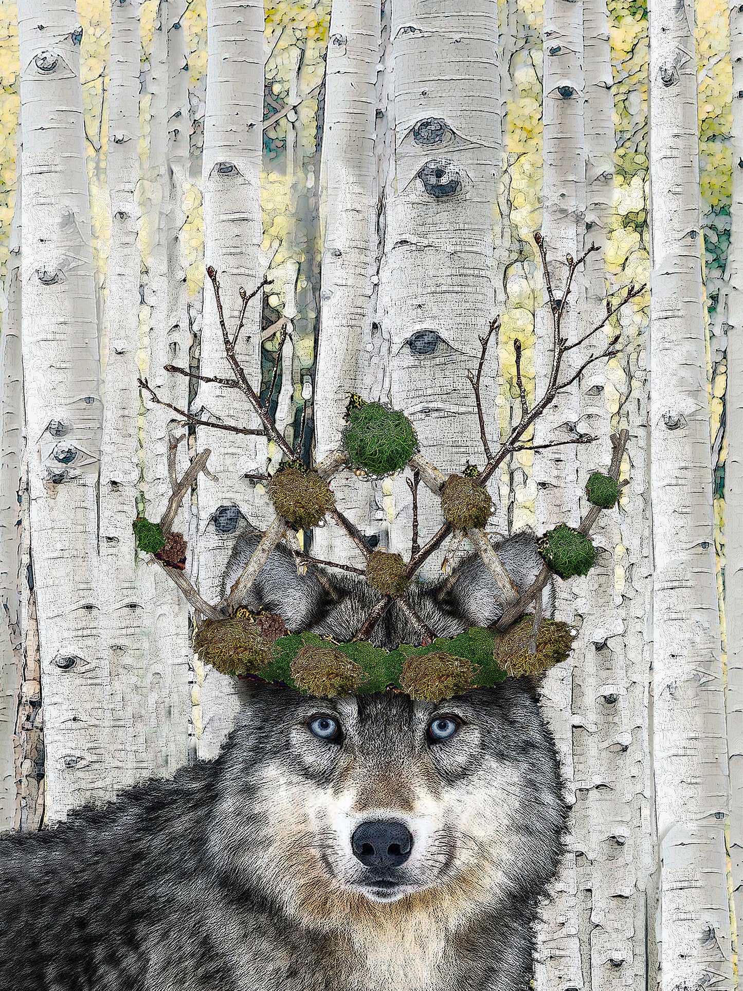 Wolf with crown 100% cotton flour sack kitchen towel