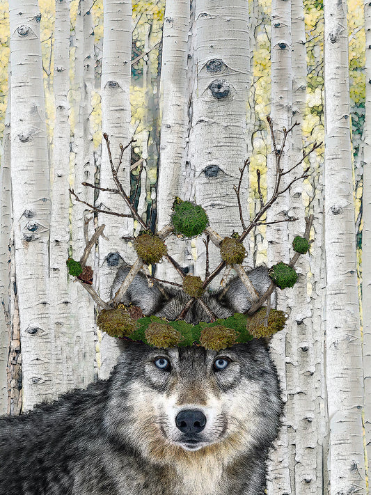 Wolf with crown 100% cotton flour sack kitchen towel